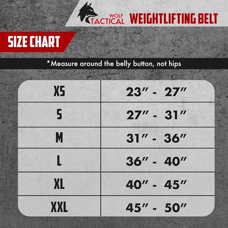 Wolf Tactical Weight Lifting Belt for Men – Black+M (31-36) for Powerlifting, Squats & Deadlifts