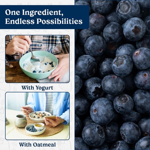 Augason Farms Freeze Dried Whole Blueberries Can โ Dehydrated Fruit for Baking & Emergency Food Supply โ Freeze & Dried Camping Food with Long Shelf Life for Everyday Meals โ 26 Servings