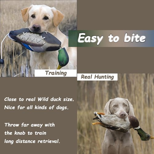 fingig 2 Pcs Duck Dummy Bumper Toys for Hunting Retriever Dog Training, Dog Retriever Outdoor Training Toy ,Hunting Duck Recognition Trainers, Foam Pet Interactive Toys