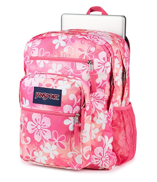 JanSport Laptop Backpack - Computer Bag with 2 Compartments, Ergonomic Shoulder Straps, 15” Laptop Sleeve, Haul Handle - Hiblisscus