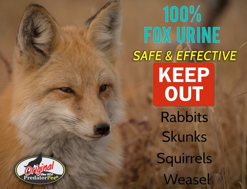 PredatorPee 100% Fox Urine - Territorial Marking Scent - Creates Illusion That Fox is Nearby - 16 oz