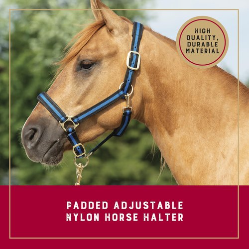 Weaver Leather Basic Adjustable Nylon Halter, Purple, 1" Average Horse