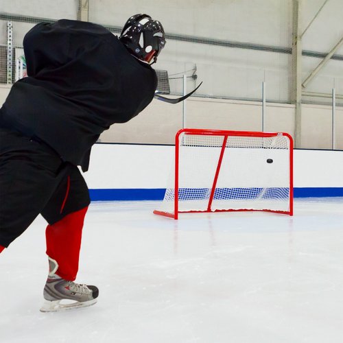FORZA Professional Ice Hockey Goal with 5mm Net and 2in Galvanized Steel Frame