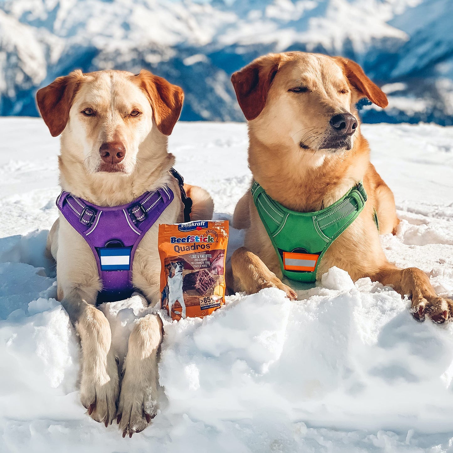 ZESION 2pcs Reflective Safety Patches, Hook and Loop Reflective Patches for Night Sports, Labor Wear, Rain Jackets, Hikers, Dog Tactical Undershirts, Firefighter Rescue, Green