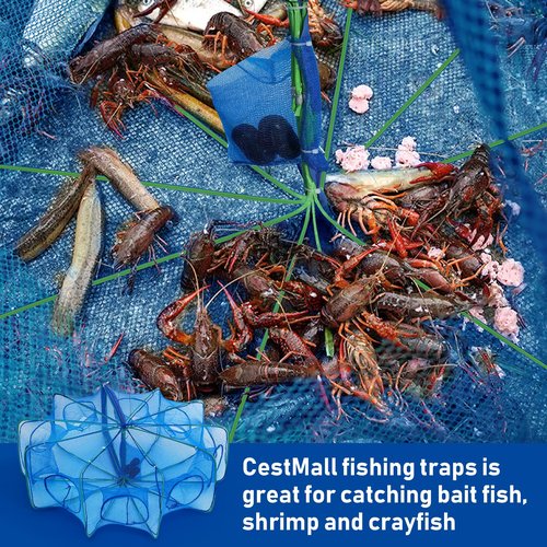 Folded Fish Trap, 10 Holes 10 Sides Crayfish Trap Fish Crab Traps with Nylon Rope for Catching Small Bait Eels Crab Lobster Minnows Shrimp