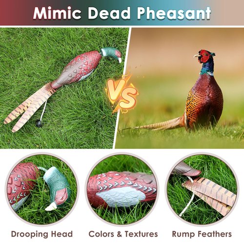 Saillong 2 Pack Pheasant Dog Toy, Bird Duck Dog Training Supplies, Hunting Dog Training Dummy Launcher Dog Training, Retriever Training Floating Dead Fowl Trainer Pheasant for Dog Training