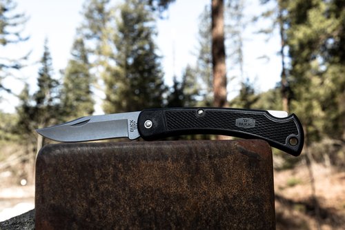 Buck Knives 110 Folding Hunter LT Lightweight Folding Lockback Hunting Knife with Lanyard Hole & Heavy-Duty Polyester Sheath Included, Nylon Handle, 3-3/4" 420HC Blade, Black