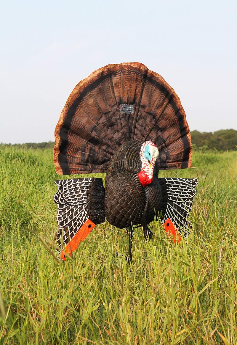 MOJO Scoot-N-Shoot MAX Tom Turkey Hunting Decoy with Realistic Fan