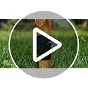 12 Pack Outdoor Light Stakes - 10.75 Inch Metal Torch Stakes for Garden & Landscaping - Black