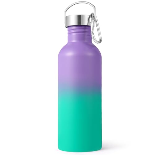 Uninsulated 32oz Stainless Steel Water Bottle with Handle - Purple Green