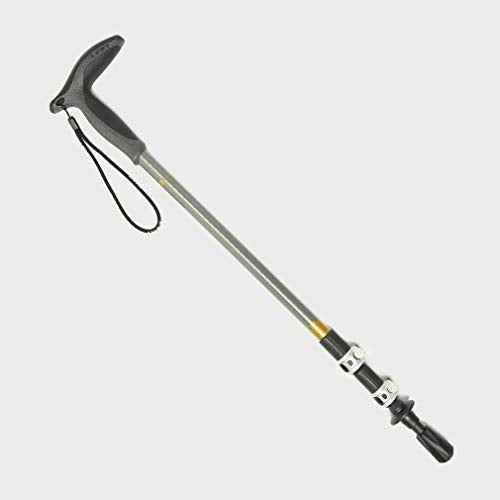LEKI Wanderfreund Speedlock Trekking Pole