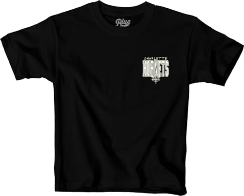 Youth NBA T-Shirt Charlotte Hornets Large Black - Unisex Kids Sports Tee