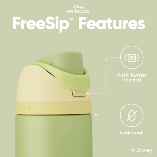 Princess Stainless Steel Water Bottle 24oz - Tiana Variant