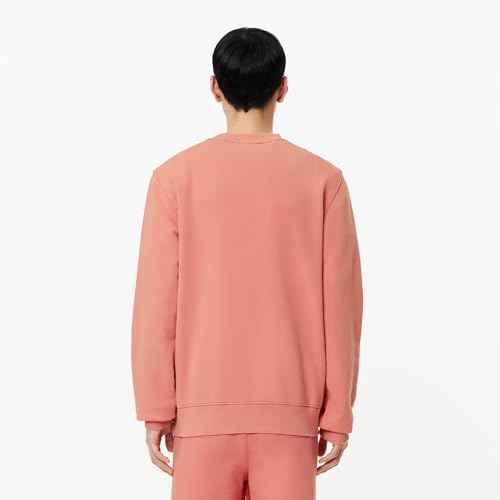 Lacoste mens Relaxed Fit Sweater W/Hood and Graphics on Back