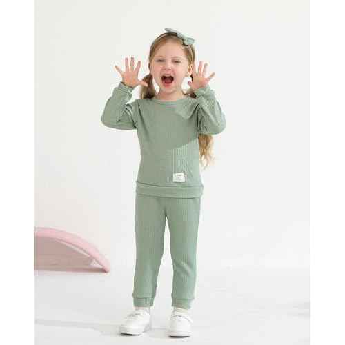 Weebaby Toddler Girl Clothes Infant Girl Sweatsuit Baby Pant Set Outfits Fall Winter Clothing Little Clothes for Girl