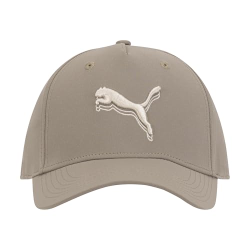Puma Men's Repeat Performance Adjustable Baseball Cap - One Size Iced Coffee & Alpine Snow