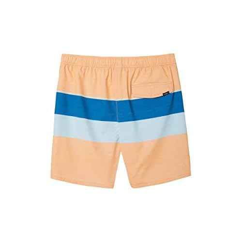 Mens Hermosa Volley Swim, Cantaloupe, L