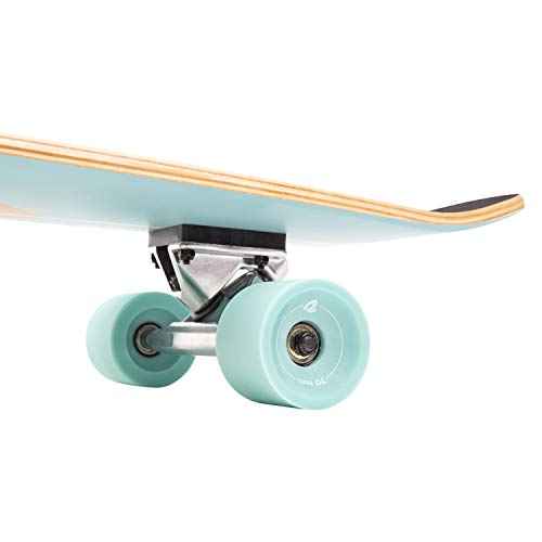 Retrospec Zed Pintail & Cruiser Longboard Adult Skateboard - 44in Bamboo & Canadian Maple Deck with ABEC-7 Bearings, 70mm PU Wheels for Commuting & Carving