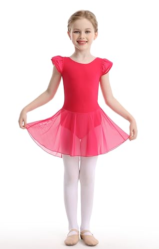 Girls Ballet Leotard with Skirt - Flutter Sleeve Tutu Outfit for 4-6 Years Rose