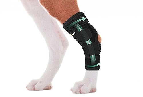 Dog Leg Brace for Rear Hock Joint - Right Size, Support & Recovery, M
