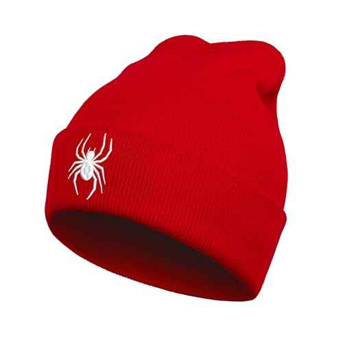 Cool Spider Web Pattern Halloween Beanie, Embroidered araneid Wool Knit Beanies Hats Gift for Men Women