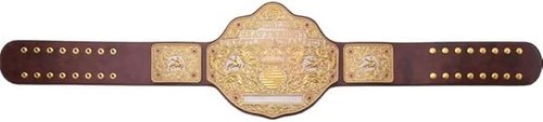 TRUESAGAUSA 4mm Dual Plate Big Gold Heavyweight Wrestling Title Belt Class One Replica Leather Strap Great Gift to Your DaD (Brown Strap)