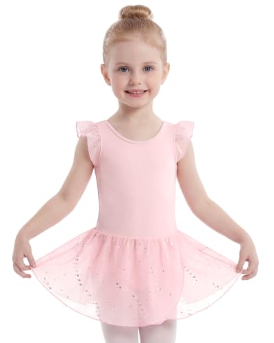 Stelle Girls Flutter Sleeve Ballet Leotard with Tutu Skirted Dress - 4-5T Ballet Pink