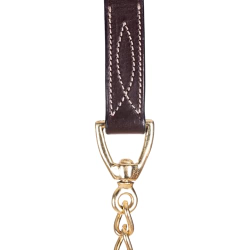 Leather Horse Lead Shank with Brass Chain - 65" Chocolate Brown, One Size