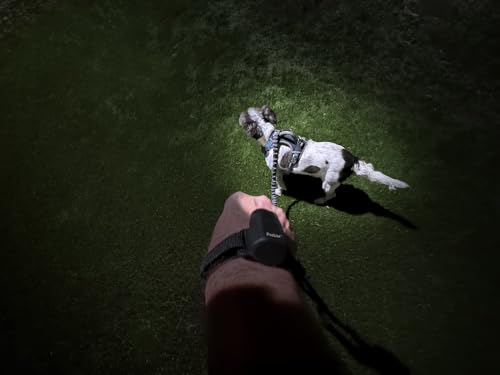 Ironwear Poolite 8075 LED Hands-Free Dog Walking & Running Light - Black Variation