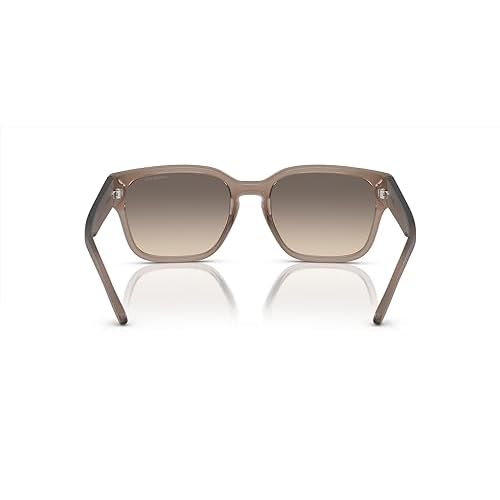 ARNETTE Men's an 4325 Square Sunglasses