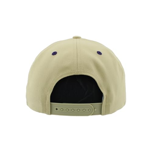 Washington Huskies NCAA Adjustable Snapback Hat - Team Color