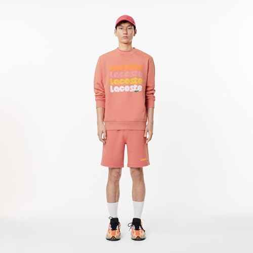 Lacoste mens Relaxed Fit Sweater W/Hood and Graphics on Back