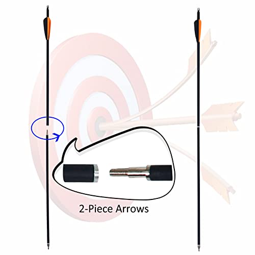 12 Pack Carbon Arrows for Takedown Longbow Recurve & Compound Bow 30 Inch Spine 500