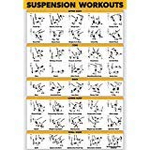 Palace Learning QUICKFIT Suspension Workout Exercise Poster - (Laminated, 18in x 24in), Hallway