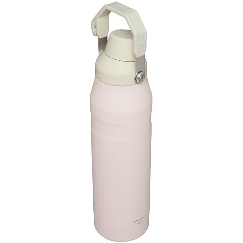 Stanley IceFlow Fast Flow Water Bottle | Angled Spout Lid | Lightweight & Leakproof for Travel & Sports | Insulated Stainless Steel | BPA-Free