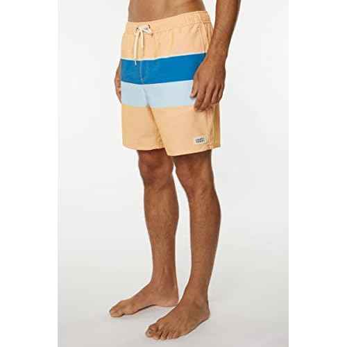 Mens Hermosa Volley Swim, Cantaloupe, L