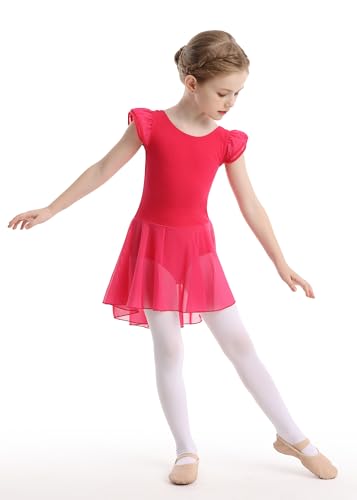 Girls Ballet Leotard with Skirt - Flutter Sleeve Tutu Outfit for 4-6 Years Rose
