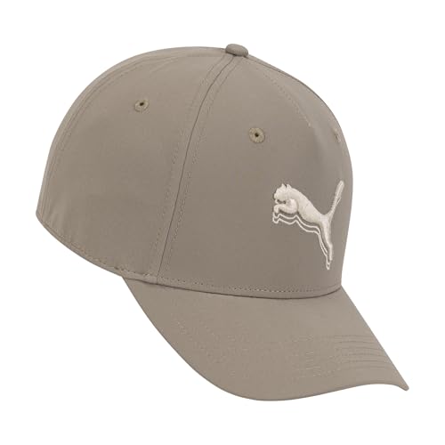 Puma Men's Repeat Performance Adjustable Baseball Cap - One Size Iced Coffee & Alpine Snow