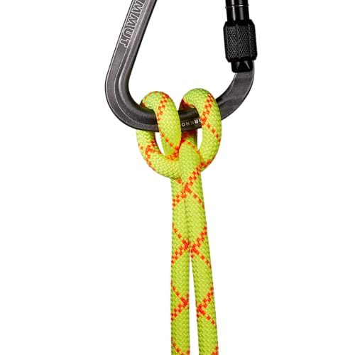 Mammut 9.5 Alpine Core Protect Dry Rope 50 m
