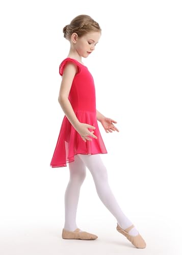 Girls Ballet Leotard with Skirt - Flutter Sleeve Tutu Outfit for 4-6 Years Rose