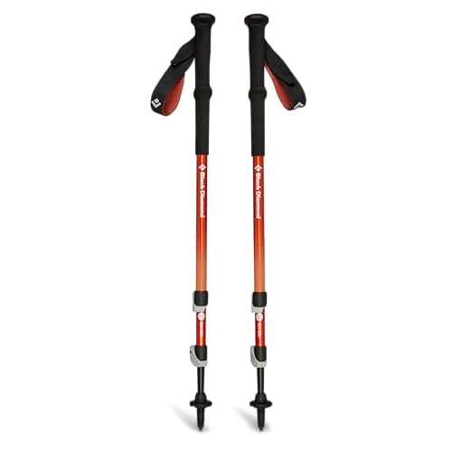 Black Diamond Equipment - Trail Back Trek Poles