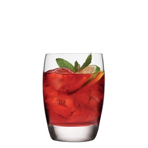 Luigi Bormioli Michelangelo Whisky Glasses Set of 4, 9 Oz Clear Drinking Glasses
