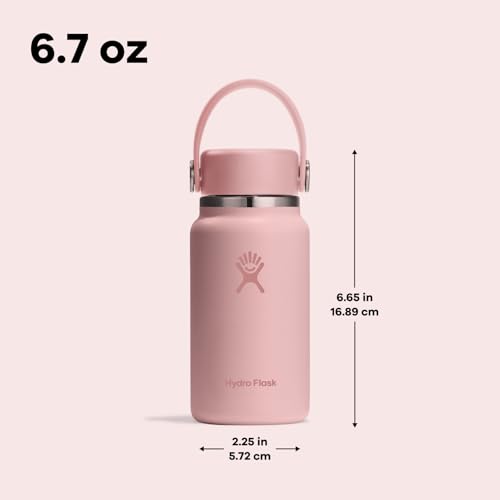 Hydro Flask Micro Bottle - Insulated Mini Leak Proof Flask for Purse or Pocket in 6.7 Oz Birch Gray