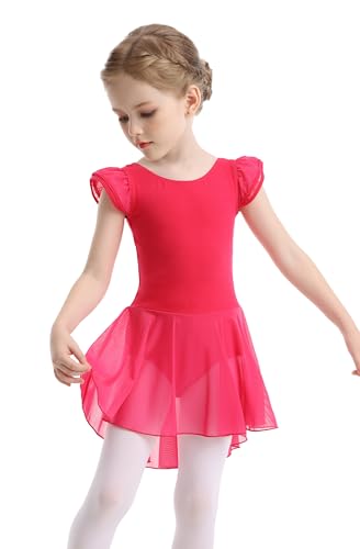 Girls Ballet Leotard with Skirt - Flutter Sleeve Tutu Outfit for 4-6 Years Rose