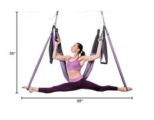 Yoga4You Aerial Yoga Swing Set - Yoga Hammock Hanging Swing - Aerial Sling Inversion Fly Kit - Acro Yoga Inversion Tool - Antigravity Yoga Sling - Suspension Trapeze (Lilac-Grey)