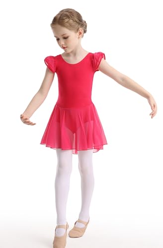 Girls Ballet Leotard with Skirt - Flutter Sleeve Tutu Outfit for 4-6 Years Rose