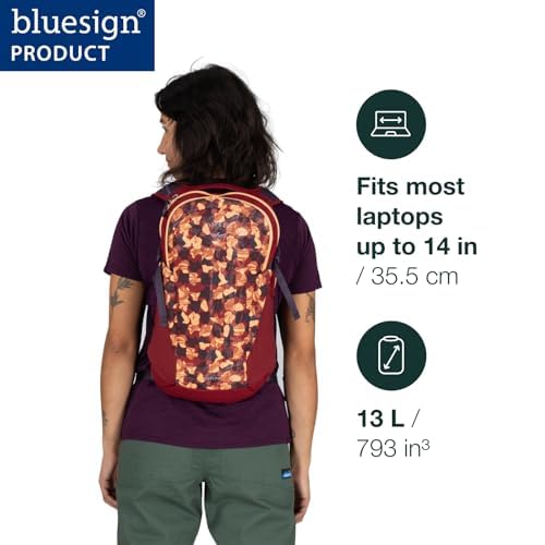 Osprey Daylite Commuter Backpack