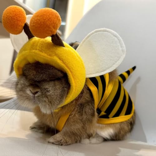 Pet Swimwear Bikini for Small Dogs & Cats - Yellow Bee X-Small