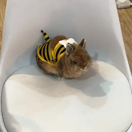 Pet Swimwear Bikini for Small Dogs & Cats - Yellow Bee X-Small