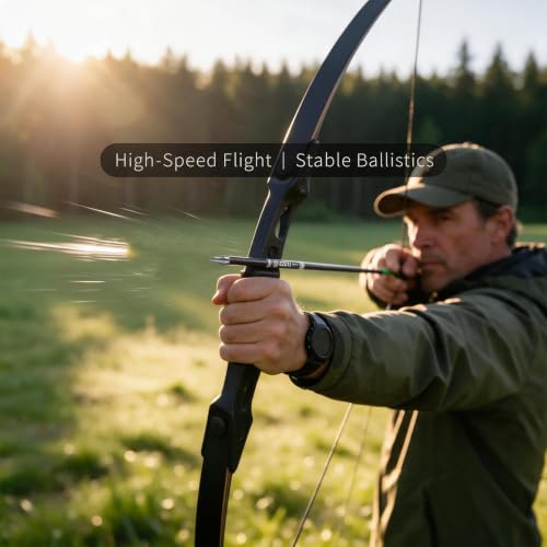 31 Inch Carbon Arrow Set for Target Practice Hunting Arrows with Removable Tips - 24 PC, 4 Colors